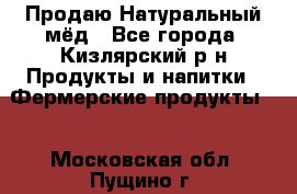 Продаю Натуральный мёд - Все города, Кизлярский р-н Продукты и напитки » Фермерские продукты   . Московская обл.,Пущино г.